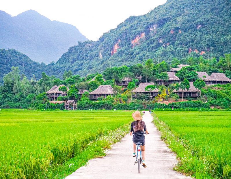 https://files.locallife.asia/images/800/1758266299350-image (24).png